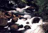 National Parks